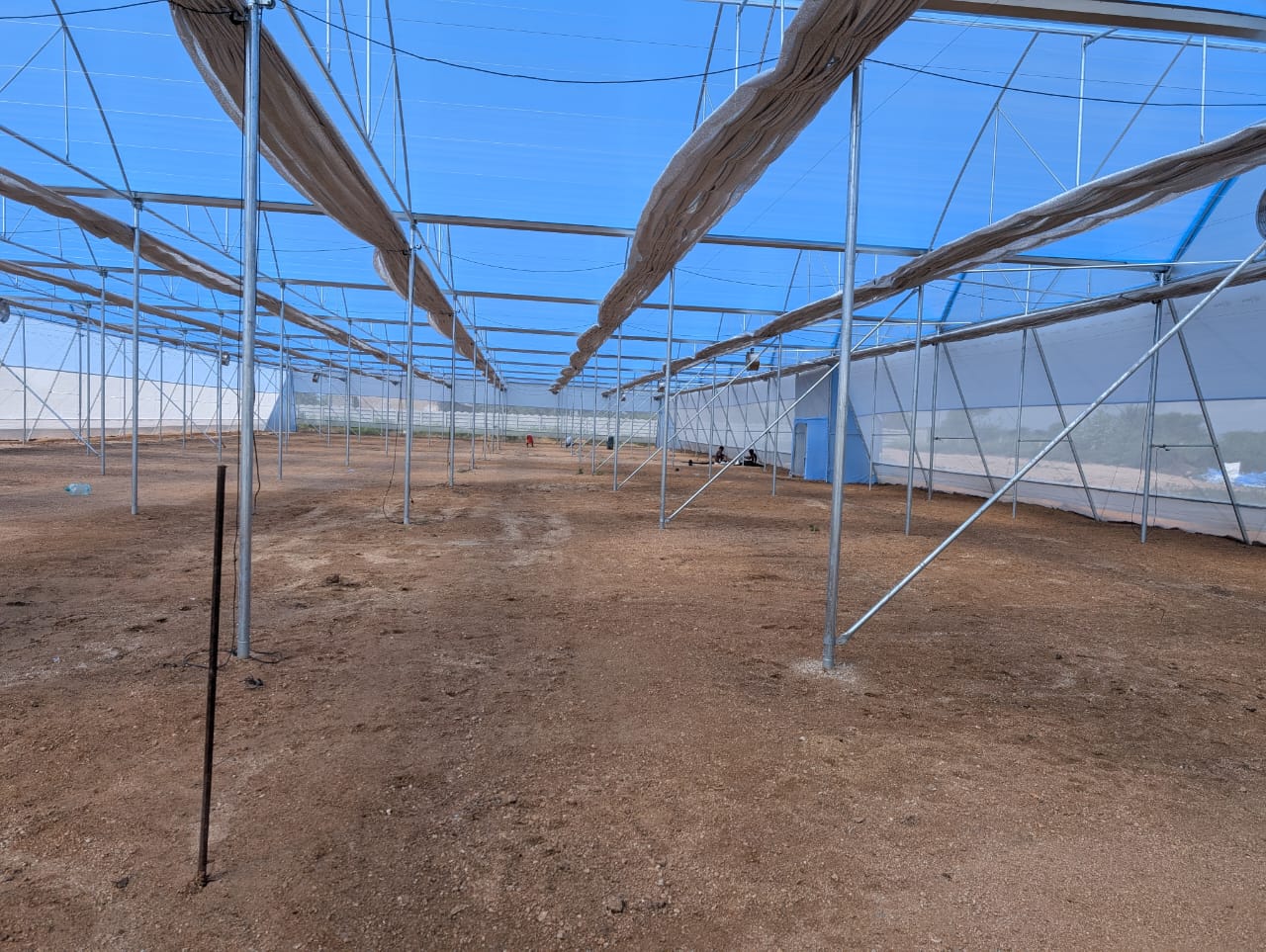Hydroponic growing system