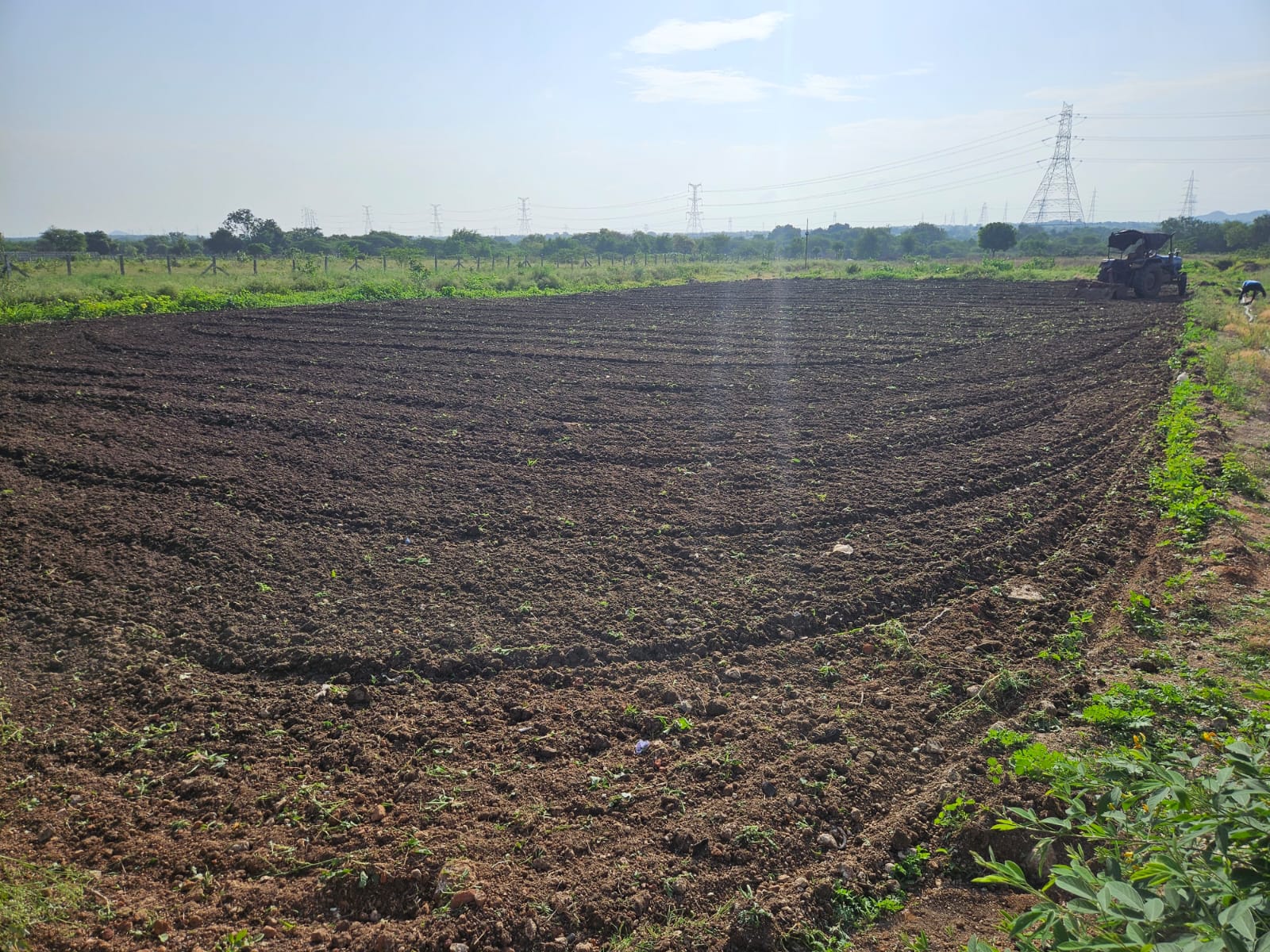 Open field being prepared for planting